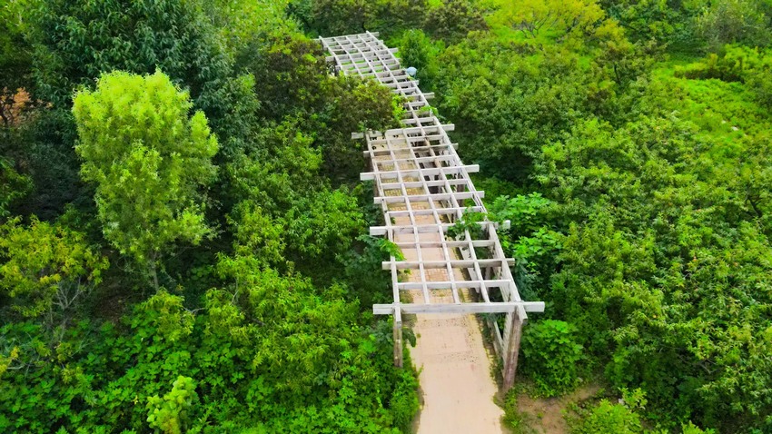 DJI_0935.jpg