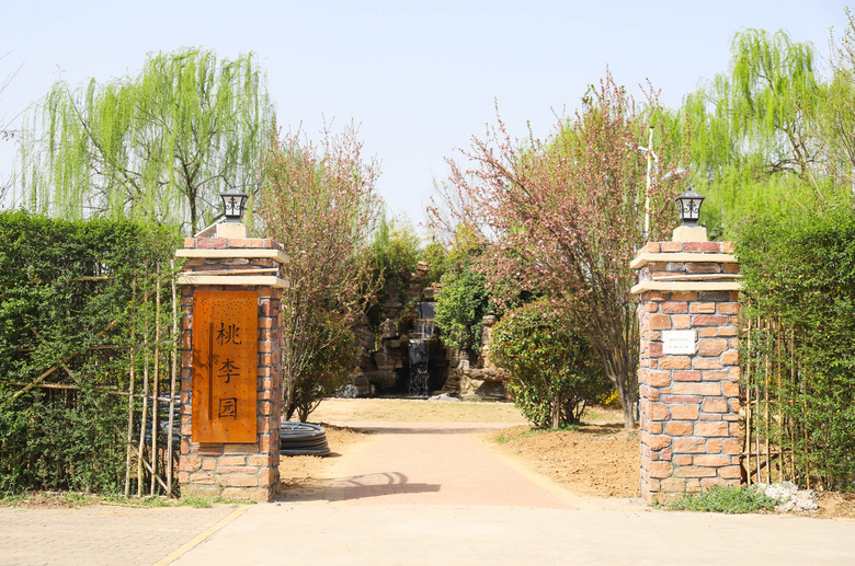 桃李园